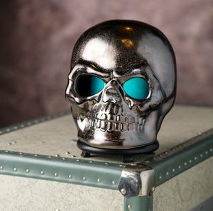 Skull Pink Zebra Shade